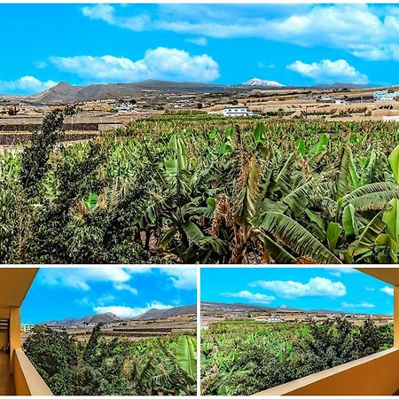 Sunflower Sea And Teide View Пуерто де Сантяго Екстериор снимка
